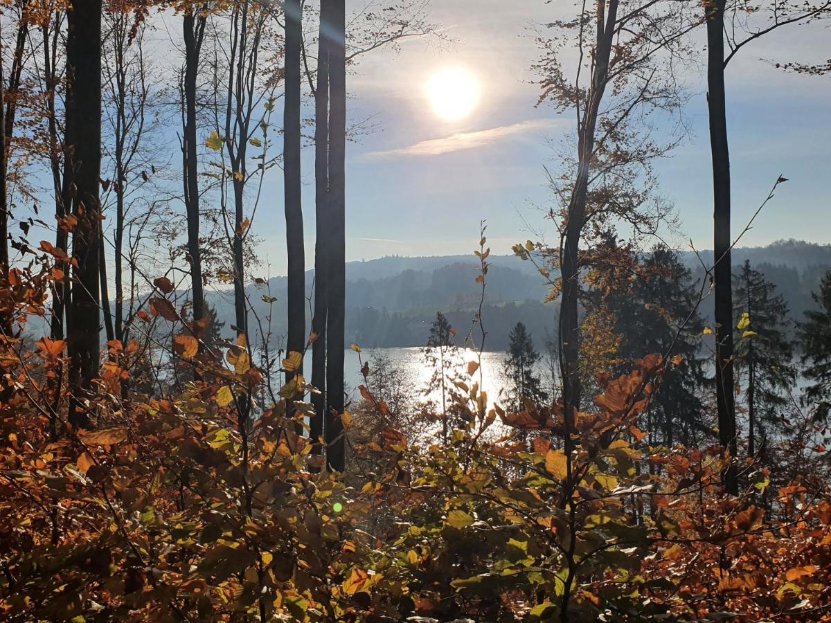 Ostrzycki Las Domki Nad Jeziorem -Balia-Sauna-Prywatny Pomost Pierszczewo Exteriör bild